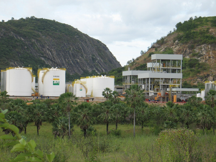 Alta da produção de biodiesel em 2015 é projetada em 17,5%