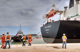 Com 600 mil toneladas Terminal Multicargas do Porto do Açu supera volume movimentado em todo o ano passado