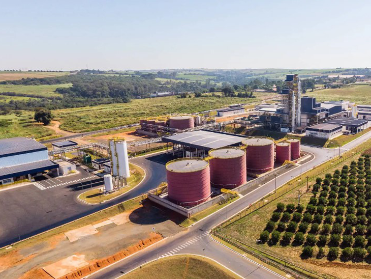 Agropalma retoma produção de biodiesel no Pará