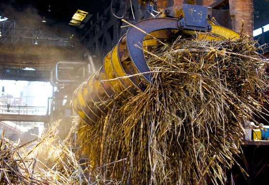 Com 75 usinas operando, 1ª quinzena de março processa 5,26 m/t de cana Com 75 usinas operando, 1ª quinzena de março processa 5,26 m/t de cana