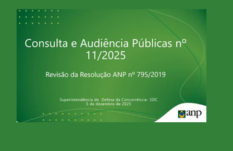Audiência pública debate apresentação de dados visando a transparência de preços de derivados de petróleo e biocombustíveis