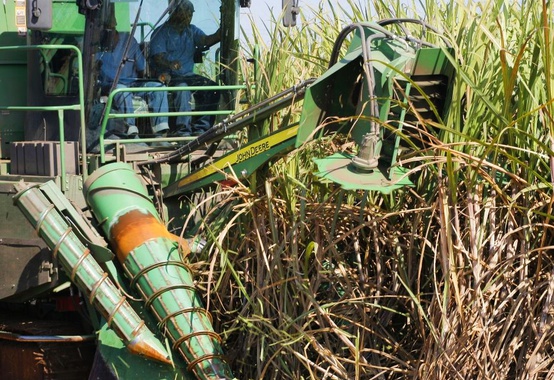 EPE estima redução de 12% nas vendas de etanol hidratado em 2021; para 2022 projeção é de alta de 6,7% EPE estima redução de 12% nas vendas de etanol hidratado em 2021; para 2022 projeção é de alta de 6,7%