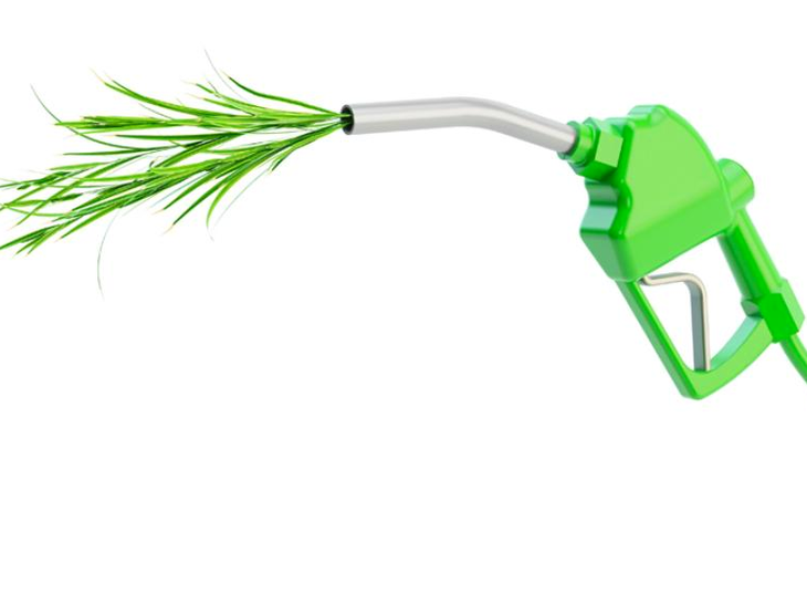 Estado de Goiás institui política estadual "Na Hora de Abastecer, Escolha Etanol"