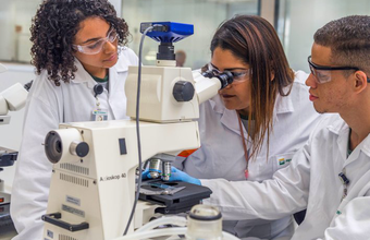 Petrobras abre mais de 700 vagas para jovens aprendizes em 13 Estados e no Distrito Federal