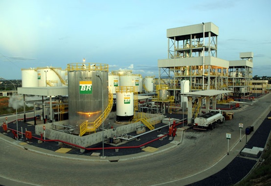 Usina da Petrobras Biocombustível triplica capacidade de refino de sebo bovino Usina da Petrobras Biocombustível triplica capacidade de refino de sebo bovino