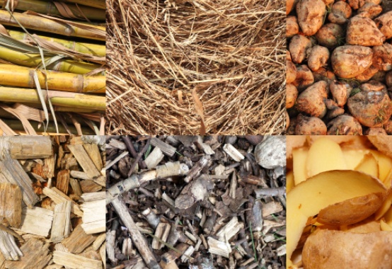 Biomassa do Setor Sucroenergético é responsável por 82% da bioeletricidade ofertada no Brasil Biomassa do Setor Sucroenergético é responsável por 82% da bioeletricidade ofertada no Brasil