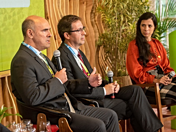 Debate sobre hidrogênio verde traz à tona os principais desafios para o mercado de créditos de carbono