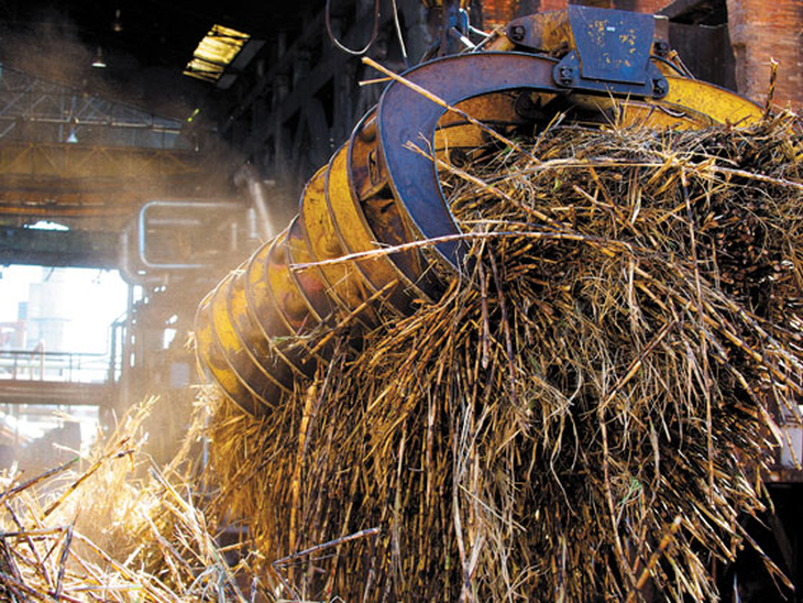 Biomassa espera continuidade na melhoria das condições dos leilões