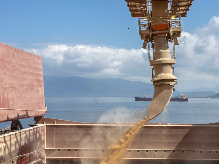 Porto de Paranaguá prevê exportar 6,5 milhões de toneladas de granéis no 2º trimestre