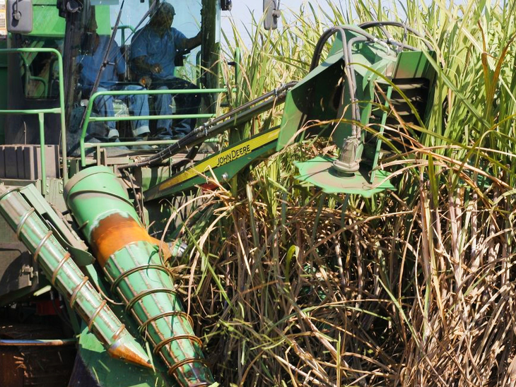 Com destaque para o etanol anidro, safra segue mais alcooleira no Norte/Nordeste