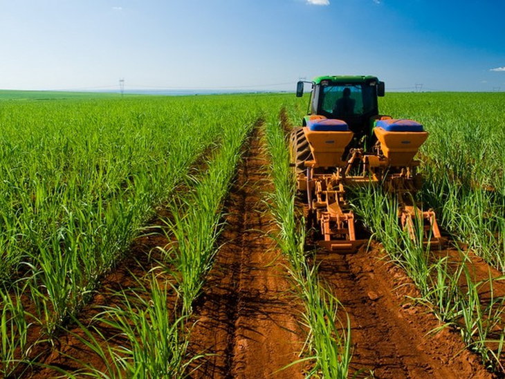 Odebrecht Agroindustrial conclui acordo para nova capitalização e renegociação de dívida