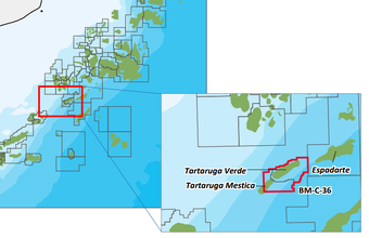 Bacia de Campos: Petrobras inicia processo de venda de 50% de Tartaruga Verde e Módulo III de Espadarte
