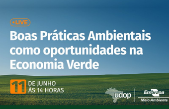 Setor sucroenergético discutirá suas boas práticas ambientais como oportunidades na economia verde