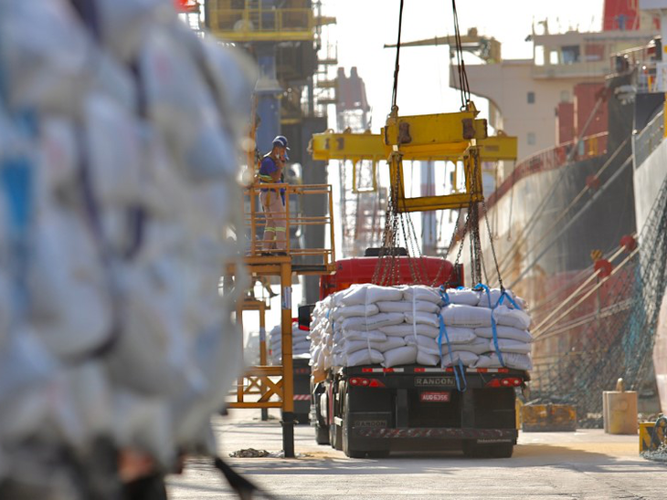 Embarque inédito de gergelim mostra eficiência do Porto de Paranaguá em diferentes tipos de carga