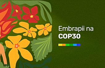 Embrapii participa de atividades sobre inovação na indústria