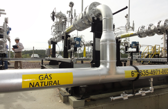 Consumo cresce nos segmentos automotivo e de cogeração em novembro