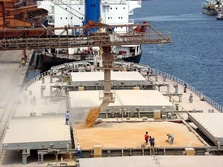 Commodities/China: importação de soja, milho e trigo aumenta em julho