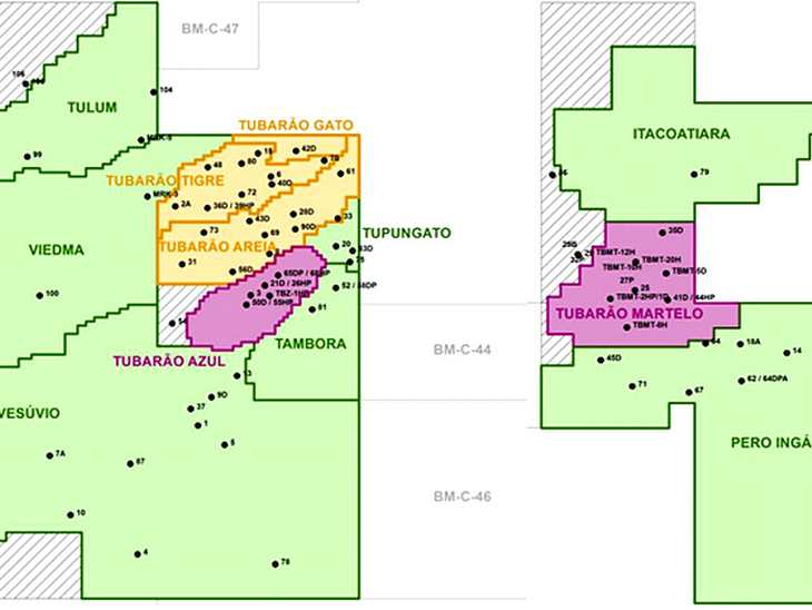 OGX declara comercialidade de acumulações em Campos