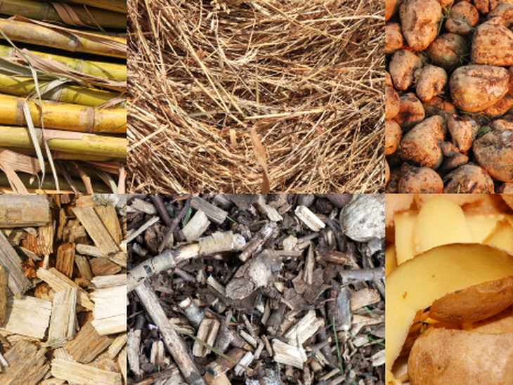 Biomassa do Setor Sucroenergético é responsável por 82% da bioeletricidade ofertada no Brasil  