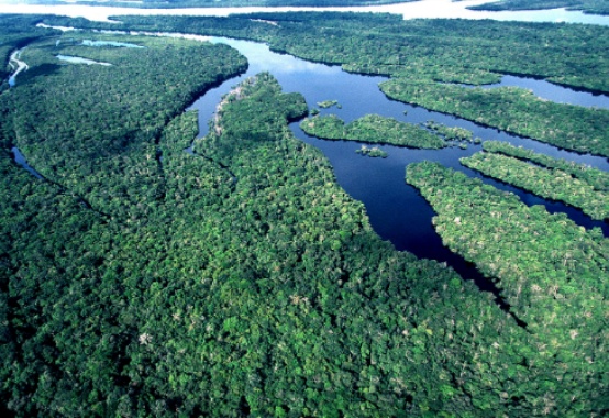 Microrganismos são os maiores emissores de carbono em águas da Amazônia Microrganismos são os maiores emissores de carbono em águas da Amazônia