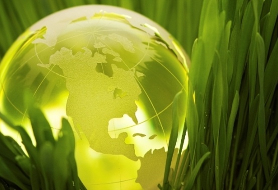 Bioenergia será parte da solução para transição energética mundial Bioenergia será parte da solução para transição energética mundial