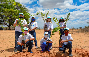 Projeto patrocinado pela Petrobras contribui para mitigar mudança climática