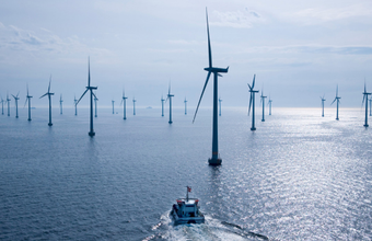 Ibama lança termo de referência padrão para complexos de energia eólica offshore