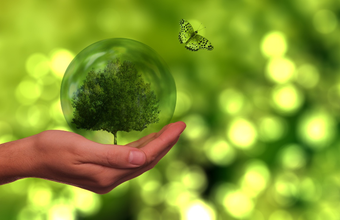EPE lança “BiodivEPE - Biodiversidade no planejamento de projetos de energia”