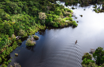 Durante a COP-27 projeto que conserva a Amazônia gerando renda para as comunidades locais será apresentado pela Petrobras