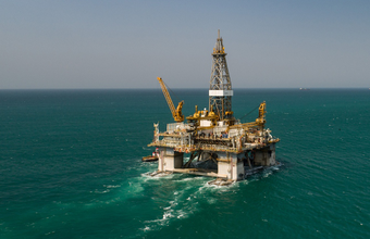Constellation lança chamada para apoiar projetos inovadores de proteção da vida marinha