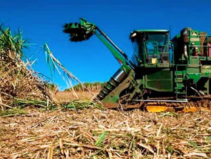 Com uso de inteligência artificial, Raízen produz modelo que otimiza manutenção de colhedoras de cana-de-açúcar