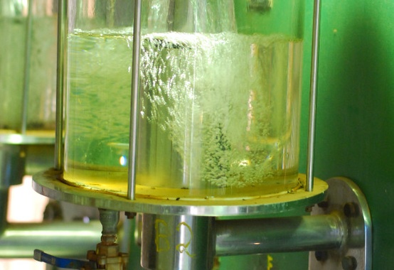 Argentina: adoção de E12 na reforça potencial do etanol com uma commodity global Argentina: adoção de E12 na reforça potencial do etanol com uma commodity global