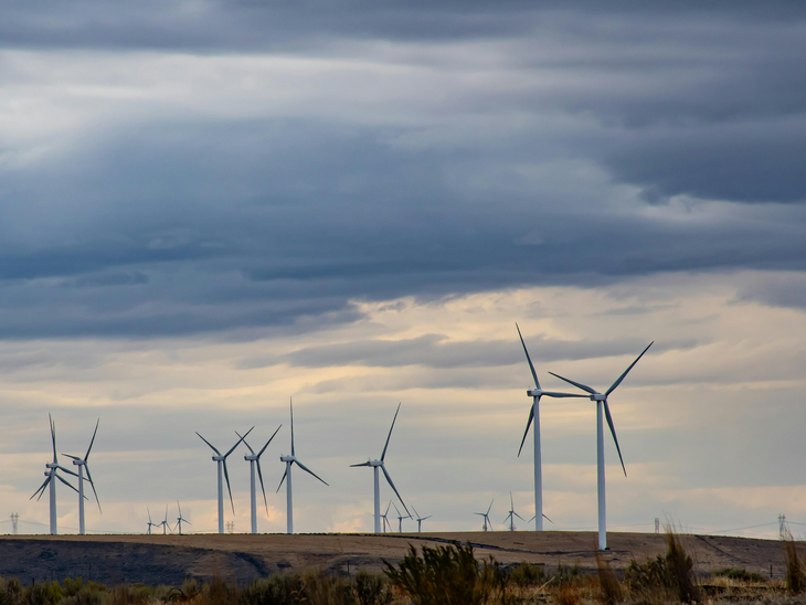 Pesquisadores analisam impactos da “síndrome da turbina eólica”