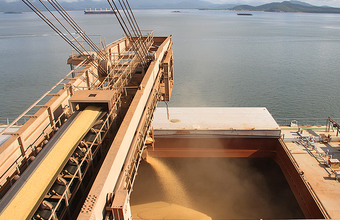 Porto de Paranaguá registra alta de 11% na exportação de granéis