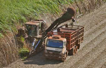 Hidratado sobe 0,60% e anidro cai 0,81% na semana