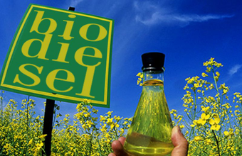 Contratação do biodiesel terá periodicidade mensal em março e abril de 2023