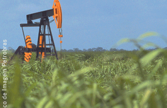 Petrobras arremata todos os blocos da Bacia de Parecis