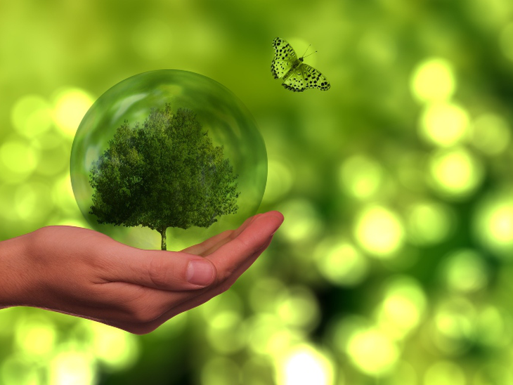 EPE lança “BiodivEPE - Biodiversidade no planejamento de projetos de energia”